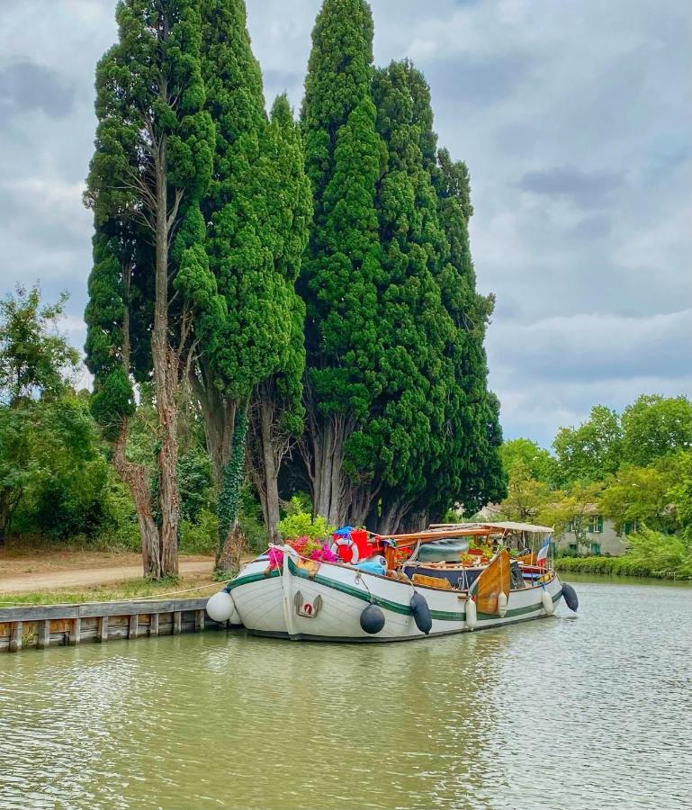 3 Star Surdespine Historic 4 Chateaux Lastours Air Conditioned Esterno foto